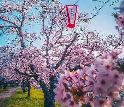 عرفان آرمیک ساعت چهار صبح